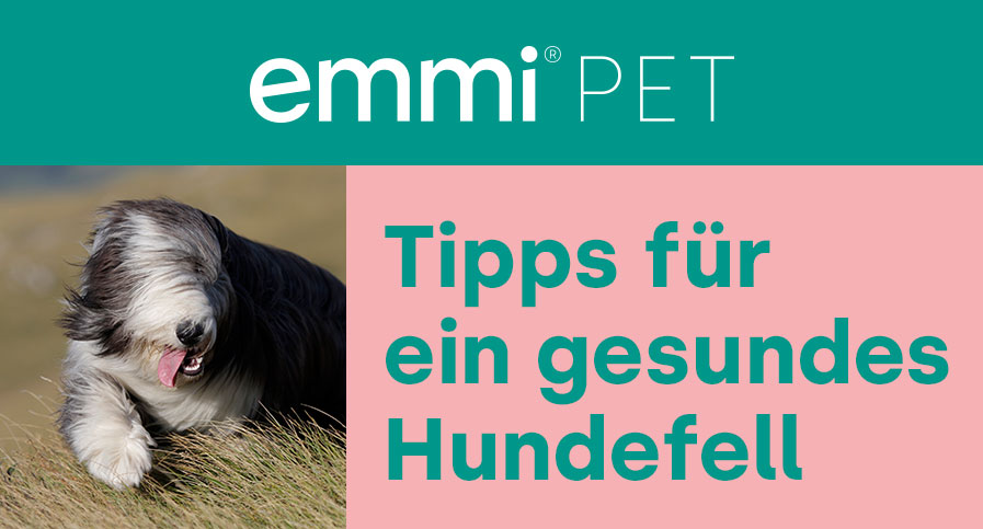 https://www.emmi-pet.de/media/a2/a6/1f/1697617658/emmi_pet_Tipps_Hundefell_DE.jpg
