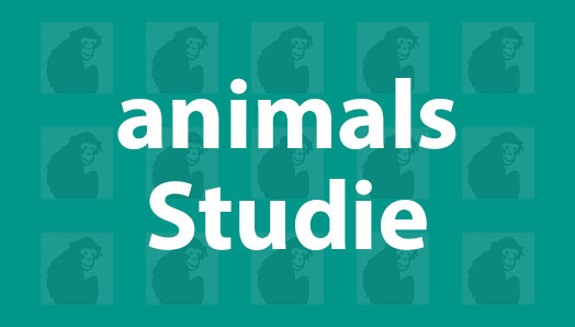 https://www.emmi-pet.de/media/e0/25/b1/1691138790/thumbnail-studie-animalsLZAzygcaoWmjb.jpg
